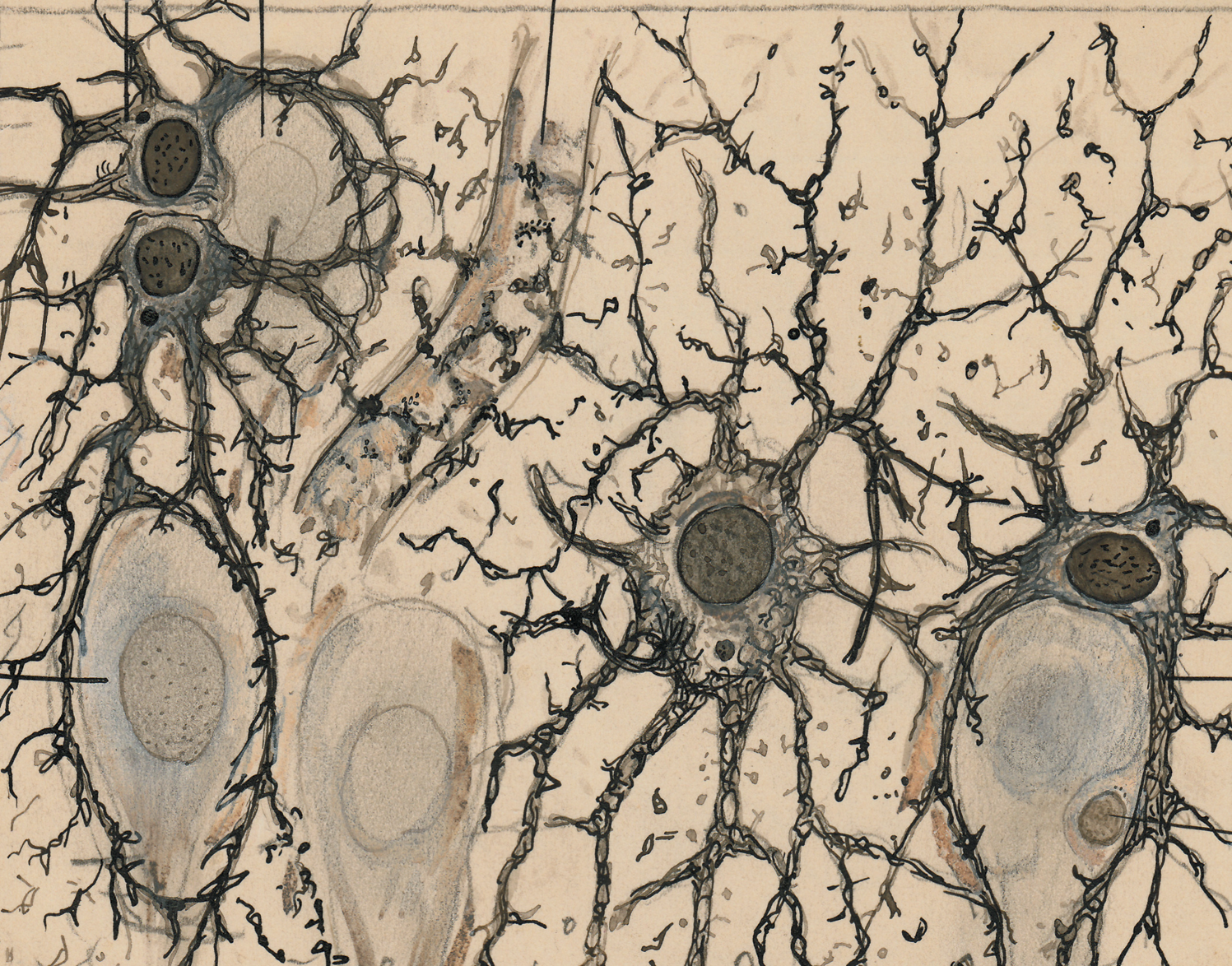 The Integrated Research Environment: Our vision for AI-native science